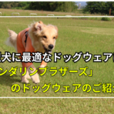 【大型犬に最適なドッグウェア】マンダリンブラザーズドッグウェアのご紹介