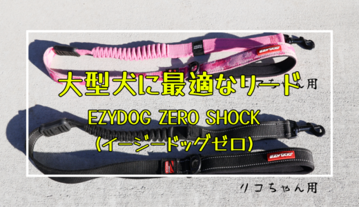 【あなたは大型犬のリードで悩んでいませんか？】大型犬も安心の丈夫さ！おすすめリード「EZYDOG ZERO SHOCK（イージードッグ　ゼロ　ショック）」
