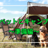 【ペットとキャンプ〜準備編】ゴールデンレトリバーとキャンプをしたいけど準備は？何が必要？