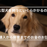 【大型犬を飼うとどれくらいかかるの？】飼育費用のお話