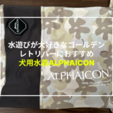 【川や海が大好きなゴールデンレトリバーにおすすめ！】ドッグウェアのご紹介！「ALPHAICON（アルファアイコン）」